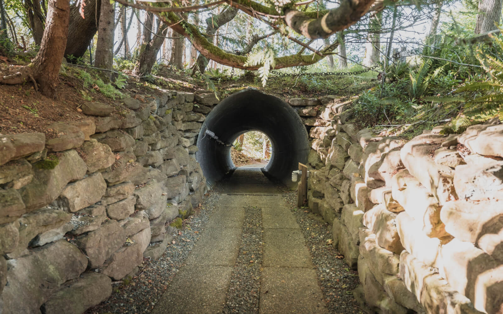 The Tunnel at Tunnel Hill